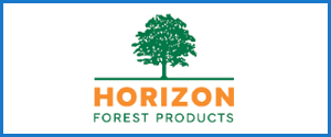 Horizon